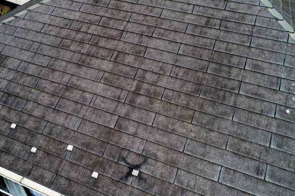 屋根の工事は『カバー工法』、『葺き替え工事』どっちにすべき？ (5)